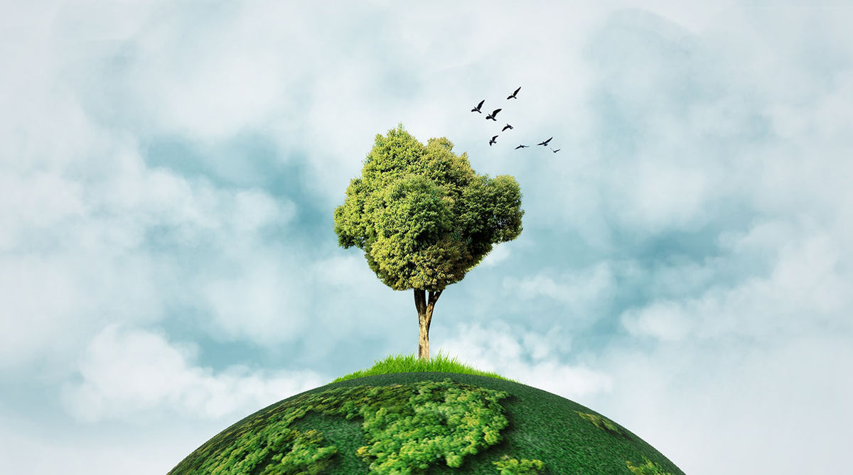 Earth Day Team Building Activities