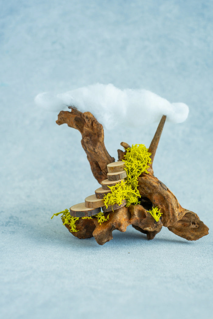 Arts & Craft Class, birthday party activity, date, Miniature Fantasy Landscape Making Workshop in Honolulu - KraftStories