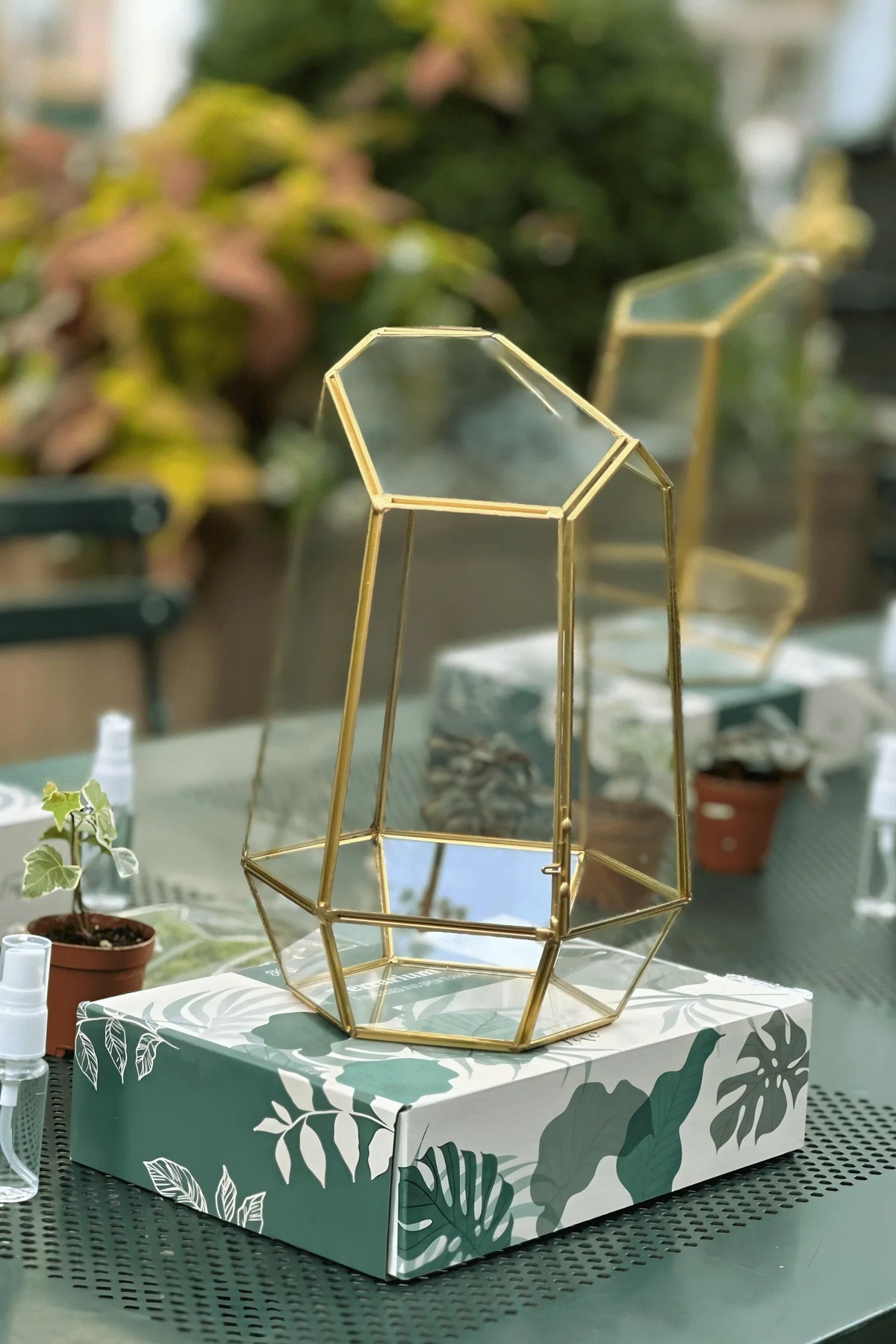 Sip & Plant Experience in NYC, terrarium making with drinks - KraftStories