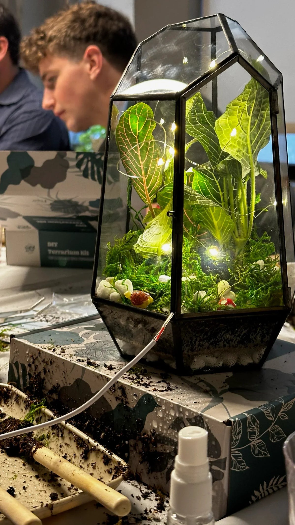Sip & Plant Experience in NYC, terrarium making with drinks - KraftStories
