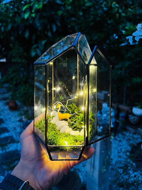 From Utility to Reflection