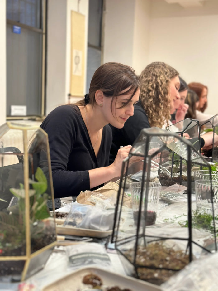 Closed terrarium ecosystem created at our Texas workshop