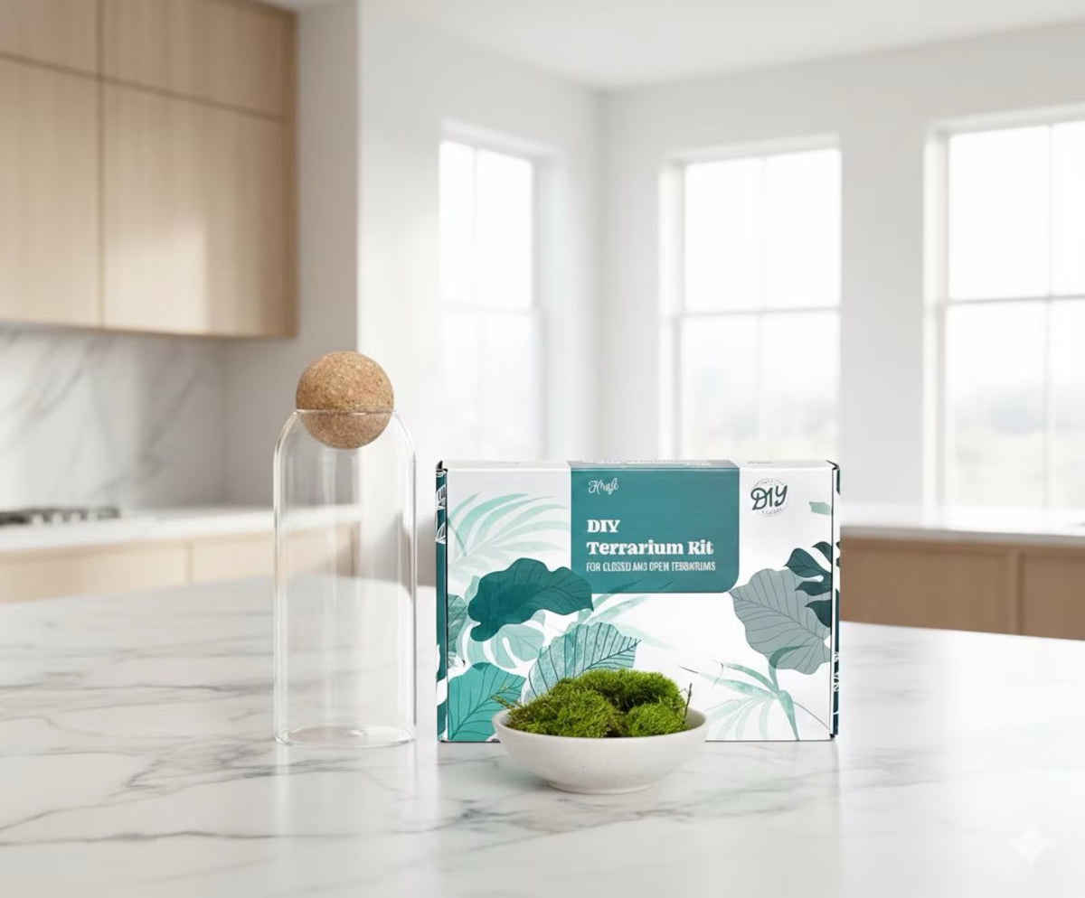 DIY Terrarium Kit with live moss | Mossarium - KraftStories