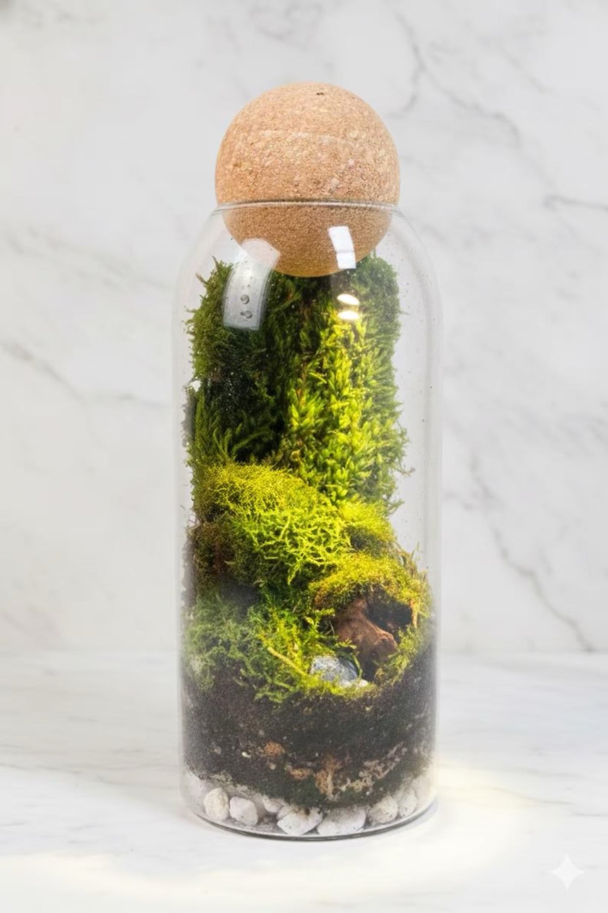 DIY Terrarium Kit with live moss | Mossarium - KraftStories