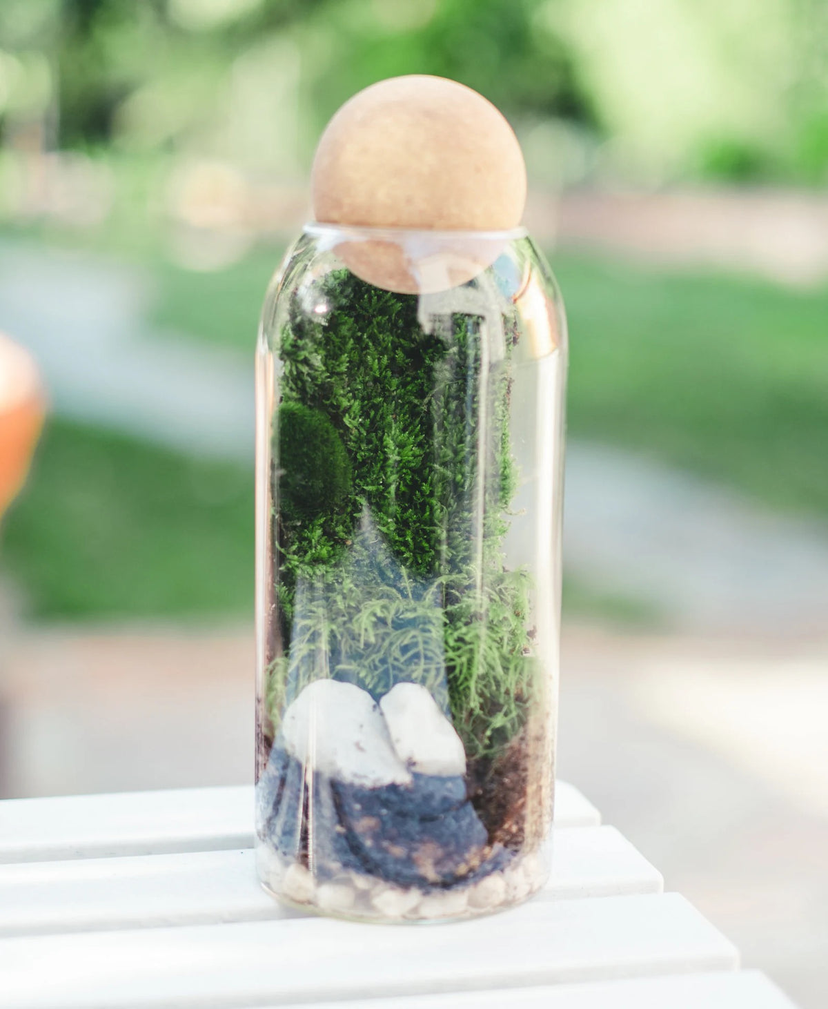 DIY Terrarium Kit with live moss | Mossarium - KraftStories