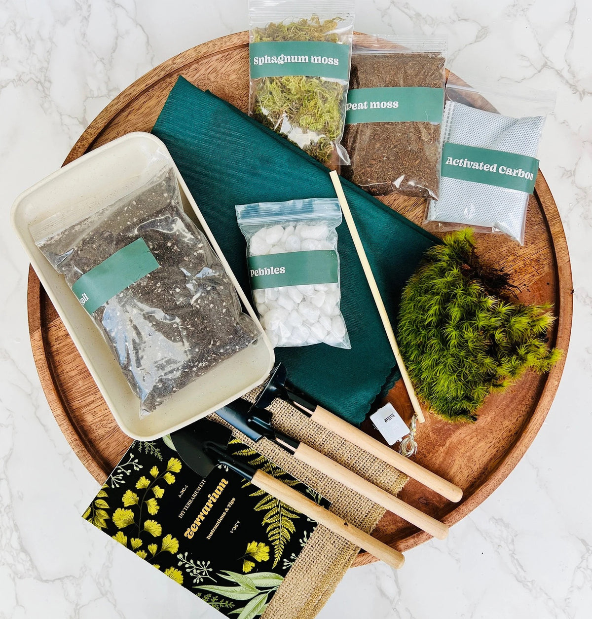 Wardian Case Large Terrarium Kit, bulk terrarium kits and supplies - KraftStories