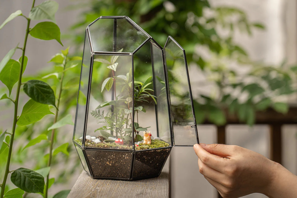 Wardian Case Large Terrarium Kit, bulk terrarium kits and supplies - KraftStories