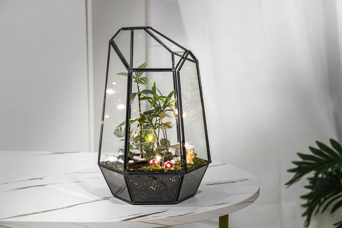 Wardian Case Large Terrarium Kit, bulk terrarium kits and supplies - KraftStories