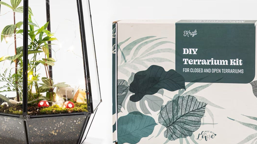 Wardian Case Large Terrarium Kit, bulk terrarium kits and supplies - KraftStories