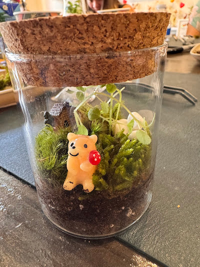 Terrarium Workshop in Los Angeles - KraftStories