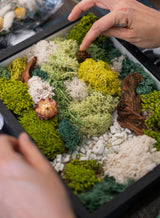 Arts and Craft Classes in Irvine, date, birthday, Team building activity Moss Wall Art Workshop in Irvine