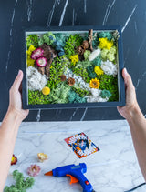 Wholesale craft kits Bulk Set of 8 - Wholesale DIY Moss Wall Art Kits - KraftStories