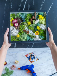 Wholesale craft kits Bulk Set of 8 - Wholesale DIY Moss Wall Art Kits - KraftStories