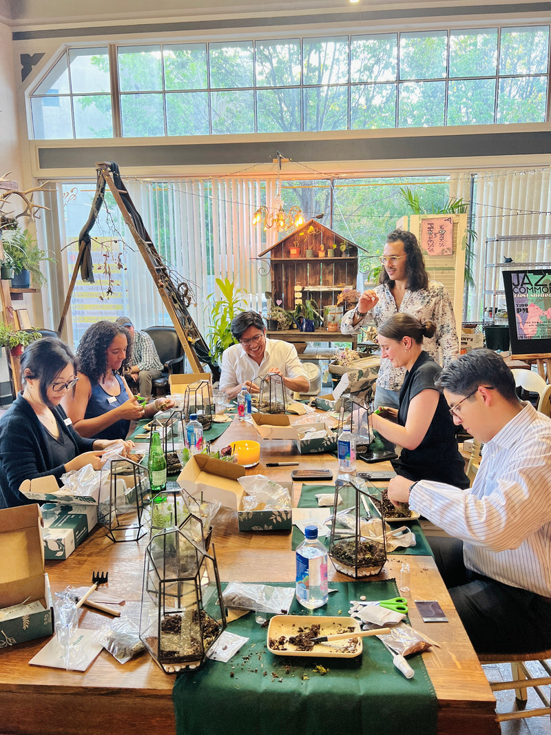 Arts & Craft Class NYC, birthday party activity, fancy date idea, team building nyc, Sip & Make a Terrarium - KraftStories