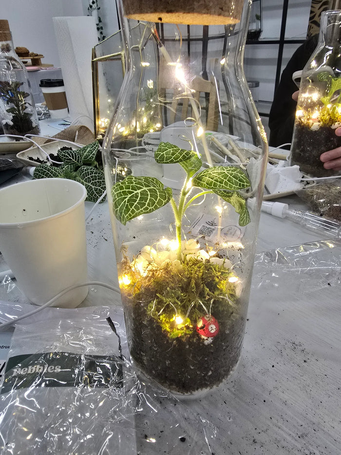 Arts and Craft Classes Irvine, Date Idea Irvine, Team Building activity in Irvine, Terrarium Workshop in Irvine