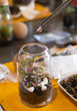 Arts and Craft Classes Irvine, Date Idea Irvine, Team Building activity in Irvine, Terrarium Workshop in Irvine