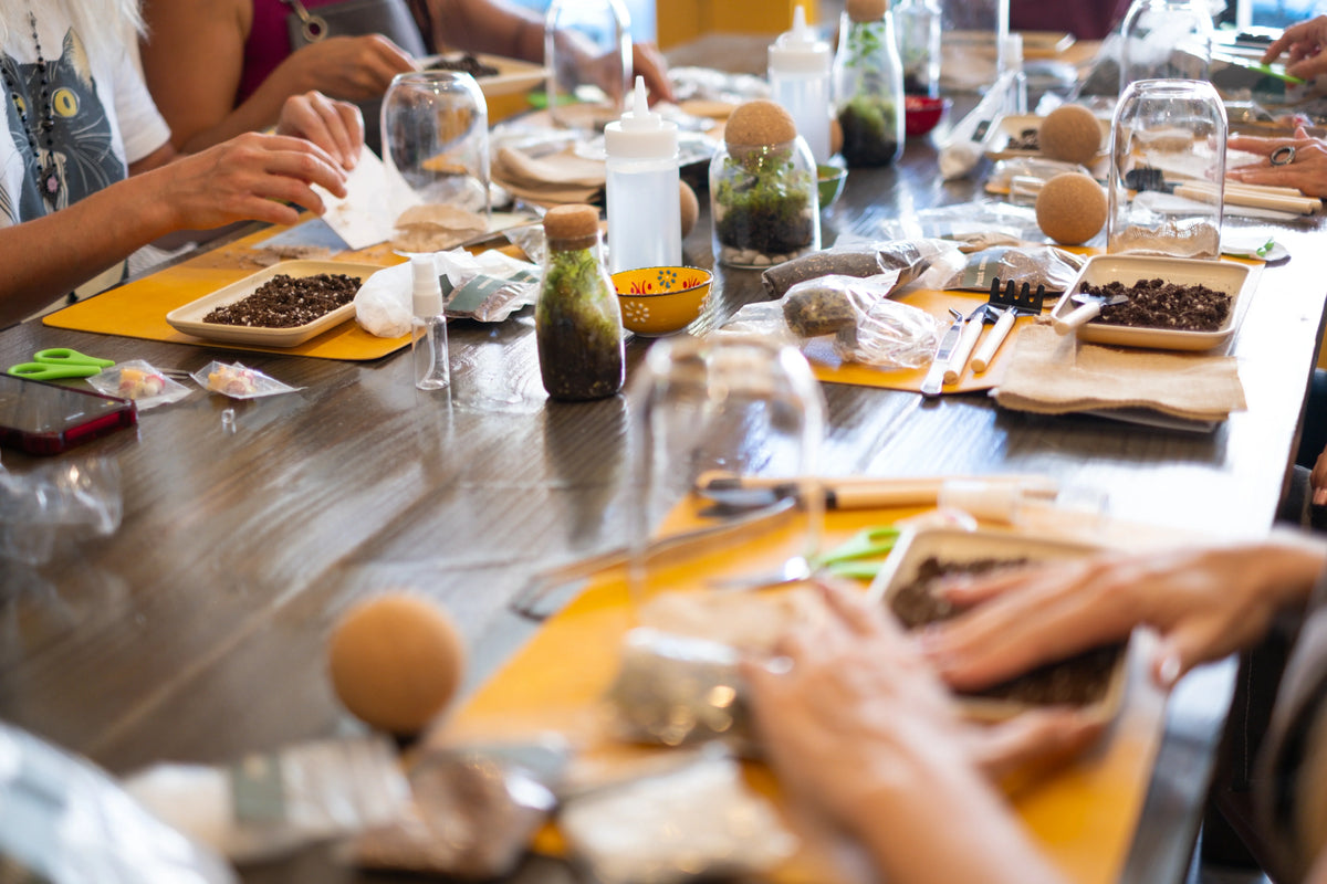 Arts and Craft Classes Irvine, Date Idea Irvine, Team Building activity in Irvine, Terrarium Workshop in Irvine