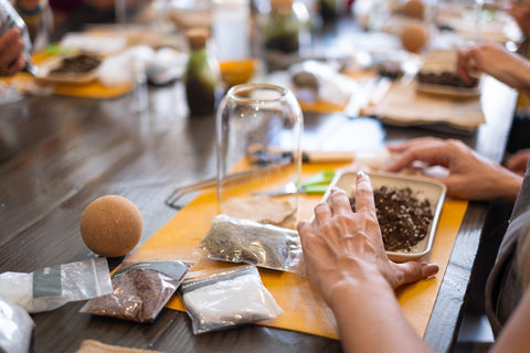 Self-Sustaining Terrarium Workshop