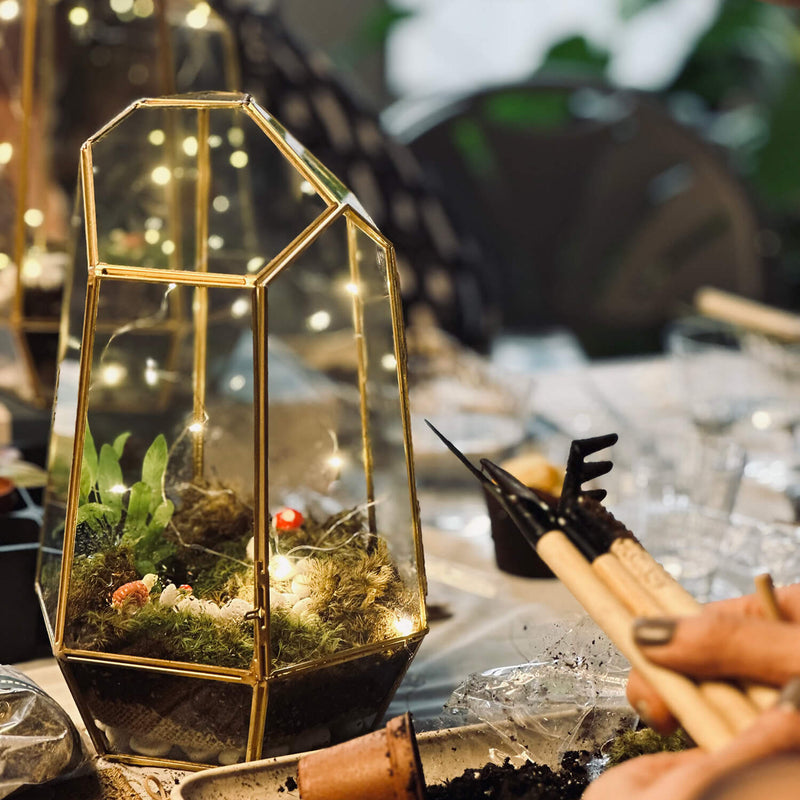Wardian Case Terrarium Workshop