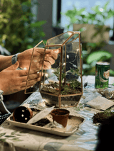 Arts & Craft Class New York, birthday activity, team building in nyc, Wardian Case Terrarium Workshop in NYC - KraftStories