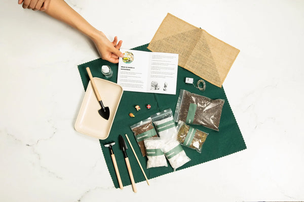 Wholesale DIY Terrarium Kit - 12 Pack | Bulk Order