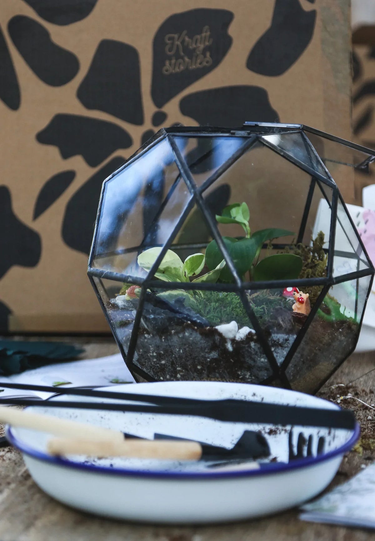 Virtual team building event for global teams, private bookings, Self Sustaining Terrarium Workshop - KraftStories