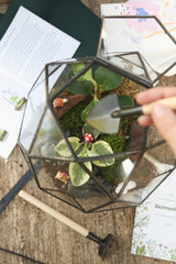 Build Your Terrarium