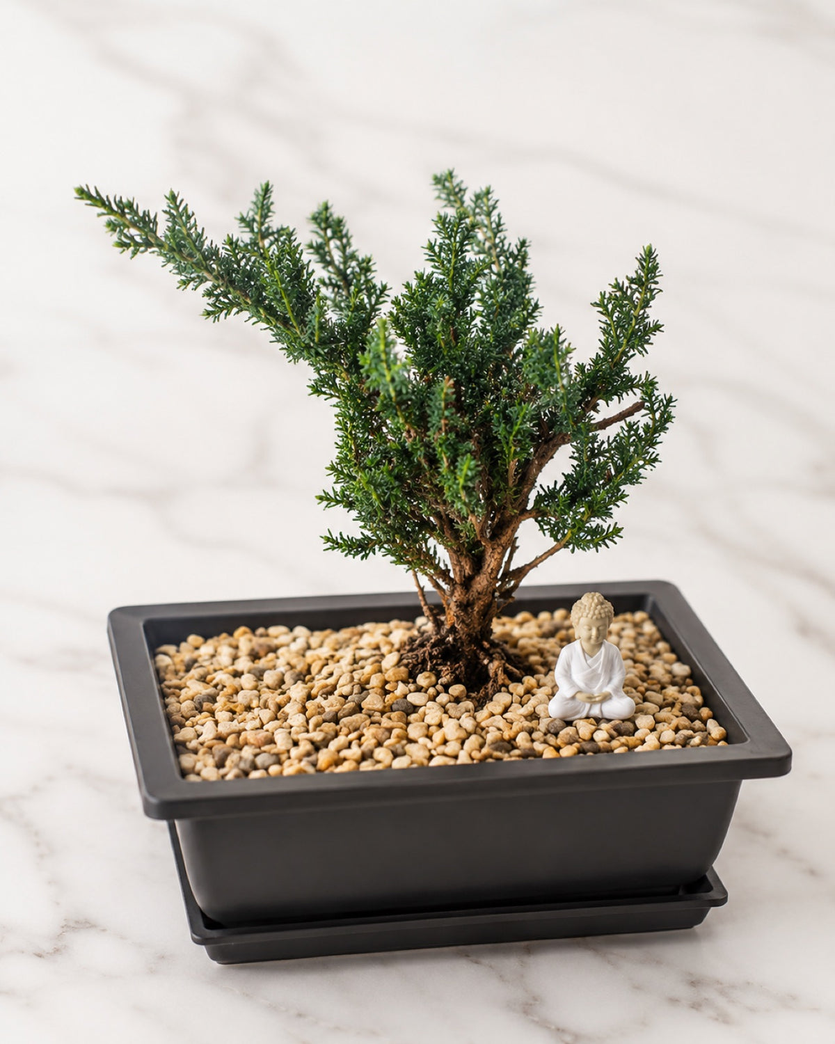 Finished bonsai tree in a dark pot topped with pale pebbles and a small stone figure