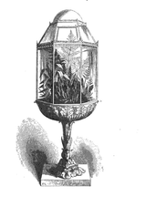 very first wardian case terrarium