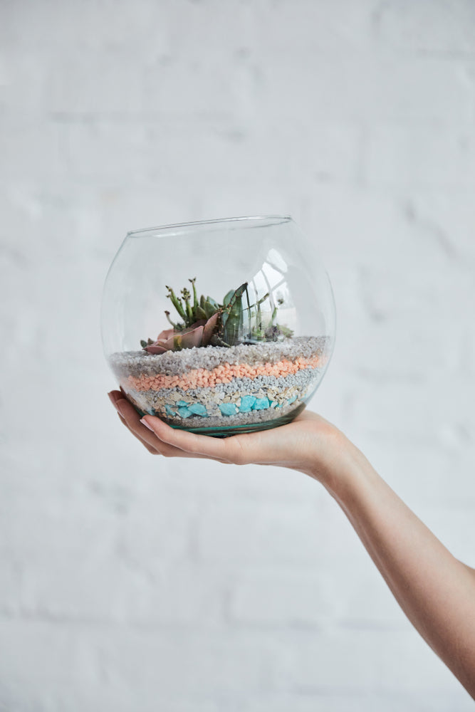 Make a succulent terrarium workshop in NYC FiDi