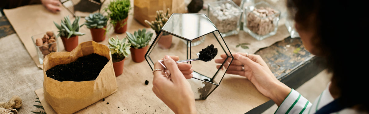 Virtual team building event for global teams, private bookings, Self Sustaining Terrarium Workshop - KraftStories