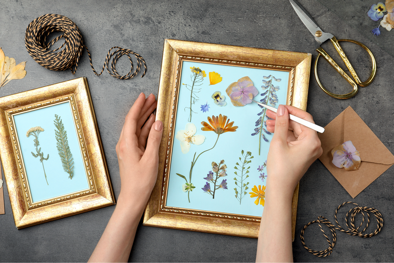 Pressed Flowers