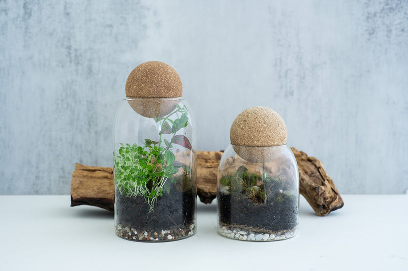 Arts & Craft Class New York, birthday, date idea, team building NYC, Self-Sustaining Terrarium Workshop - KraftStories