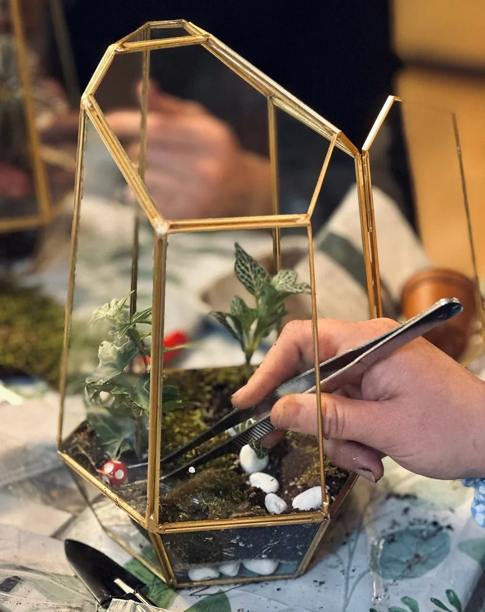 Arts and Craft Classes Irvine, Date Idea Irvine, Team Building activity in Irvine, Sip & Plant Terrarium Workshop in Irvine