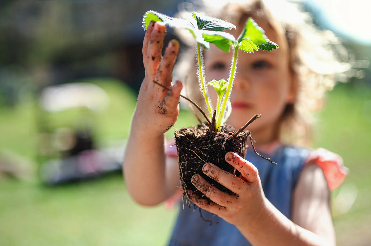 Virtual team building event for global teams, private bookings, Self Sustaining Terrarium Workshop - KraftStories