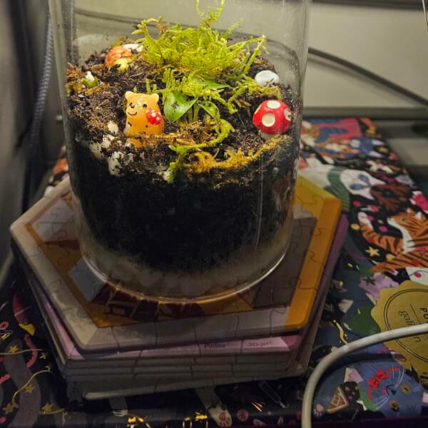 Terrarium Workshop in Los Angeles - KraftStories