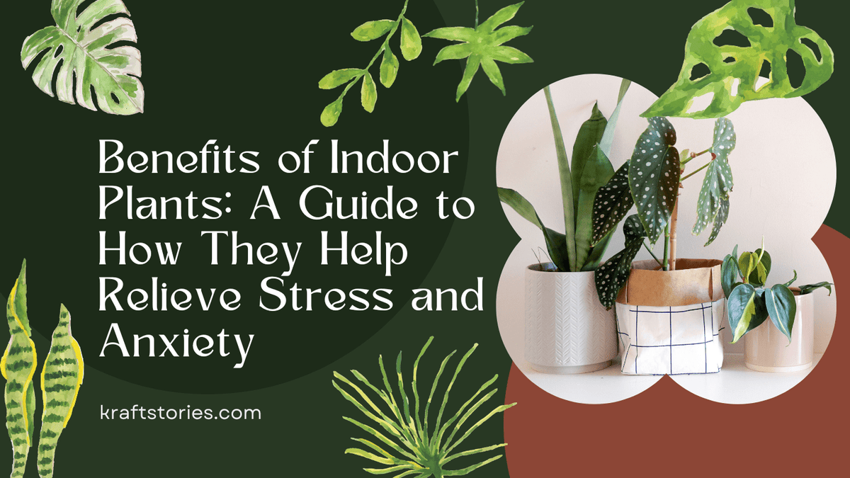 Benefits of Indoor Plants: A Guide to How They Help Relieve Stress and Anxiety