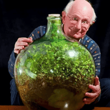 Inside the World's Oldest Terrarium: A Self-Sustaining Marvel