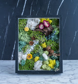 A framed artwork featuring various close-up flowers and plants, including yellow flowers and pine cones, suitable for arts and crafts enthusiasts.