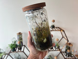 A hand holding a mason jar with moss, rocks, and small plants inside.