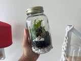 mason jar for terrarium container