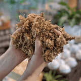 A person holding a pile of brown craft material, possibly wood or moss, in their hand, featured by KraftStories for arts and crafts projects.