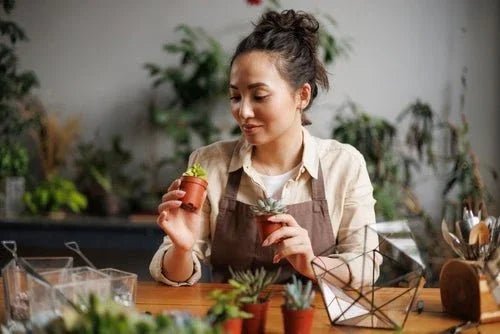 Craft Kits for Adults