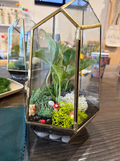 Plant & Terrarium Workshops NYC Midtown