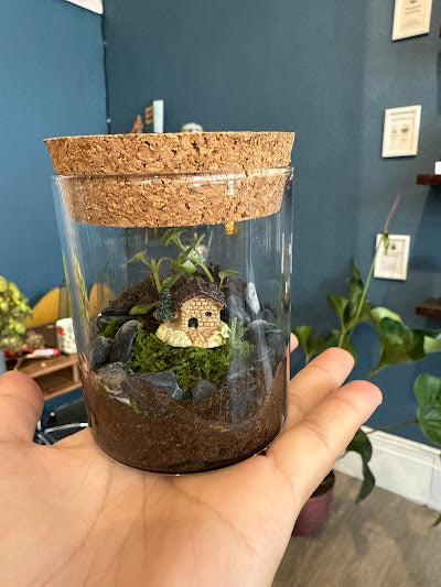 Plant & Terrarium Workshops San Jose