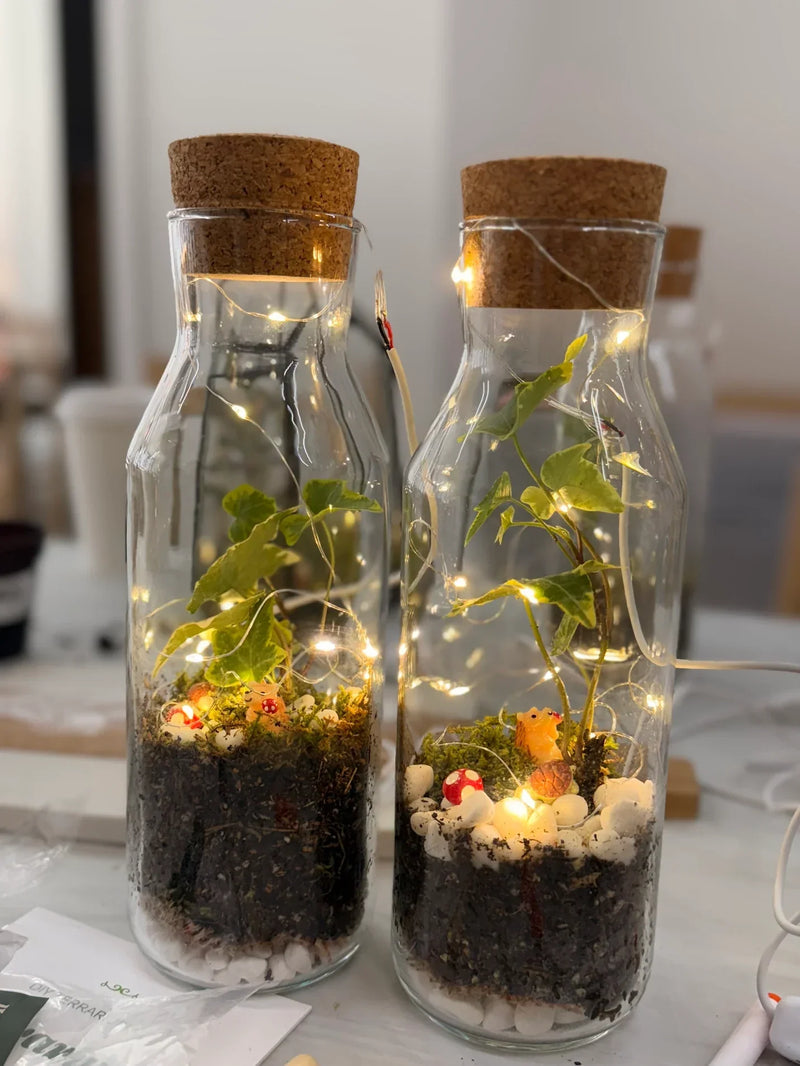 Plant & Terrarium Workshops San Francisco SoMa