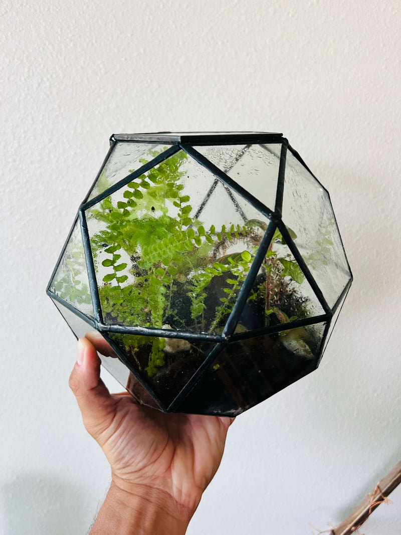 Arts & Craft Class, birthday party activity, private craft, date, Make a Terrarium in a Sphere Geometric Jar - KraftStories