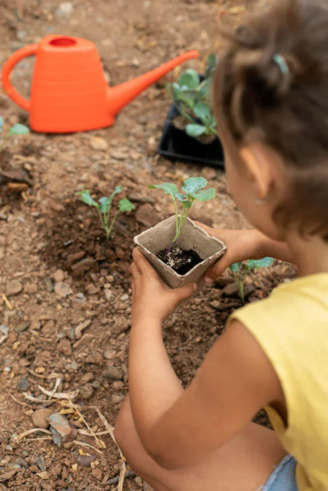 Nature restores attention