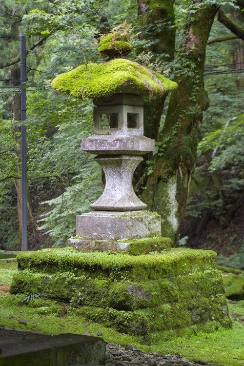 A Brief History of Moss in Design