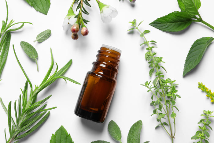 Aromatherapy Perfume Making Class in NYC - KraftStories